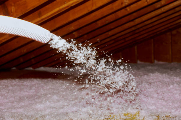 Best Insulation Replacement Services  in Wrightsboro, NC