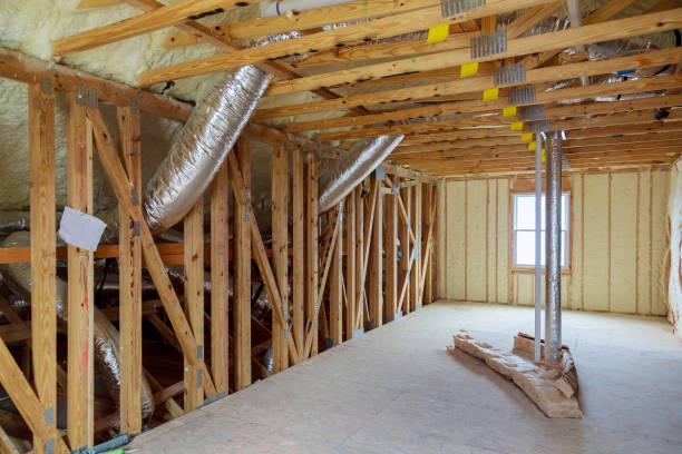 Best Insulation Removal  in Wrightsboro, NC