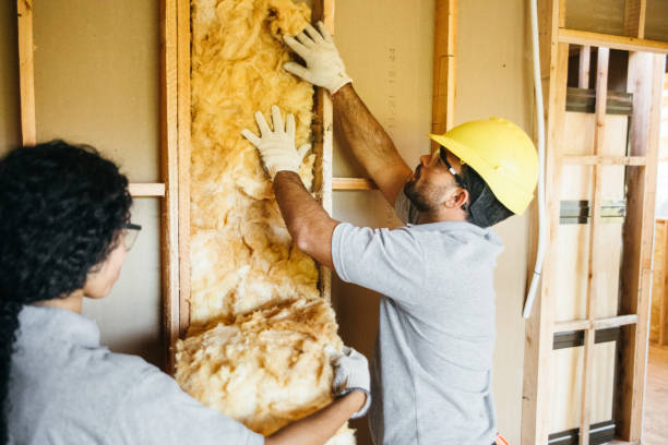 Insulation Repair Services in Wrightsboro, NC