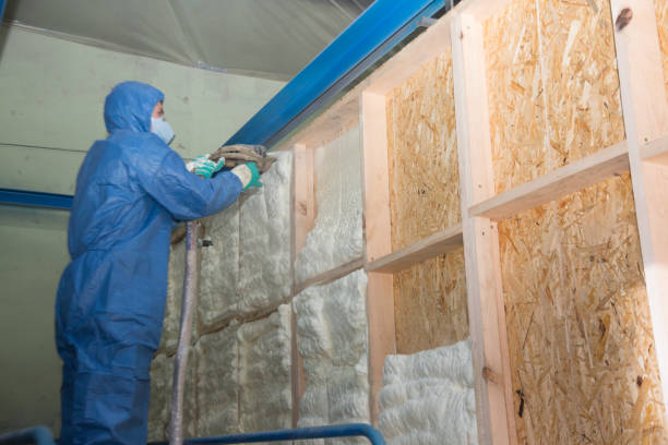 Best Fiberglass Insulation  in Wrightsboro, NC